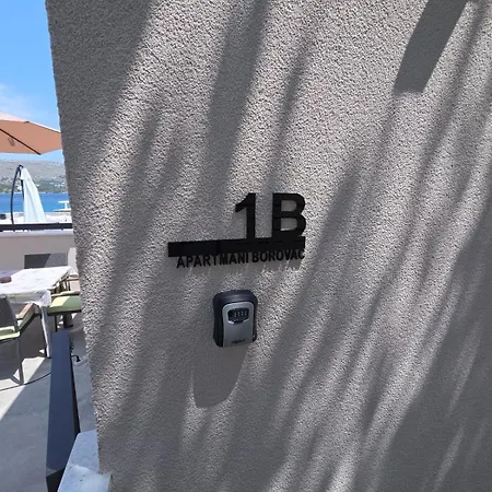 Borovac Sparadici * Grebaštica