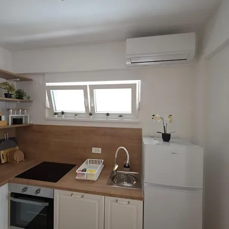 Appartement Borovac Sparadici *