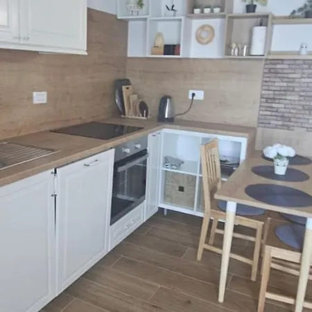 Appartement Borovac Sparadici *